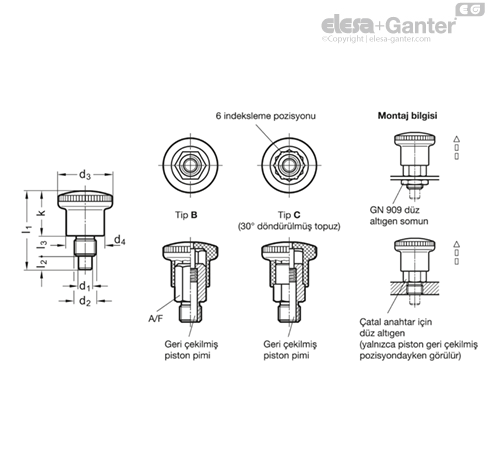GN 822.6 Mini indeksleme pistonları | Elesa+Ganter